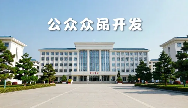软件开发性能优化方案适用条件与选择依据